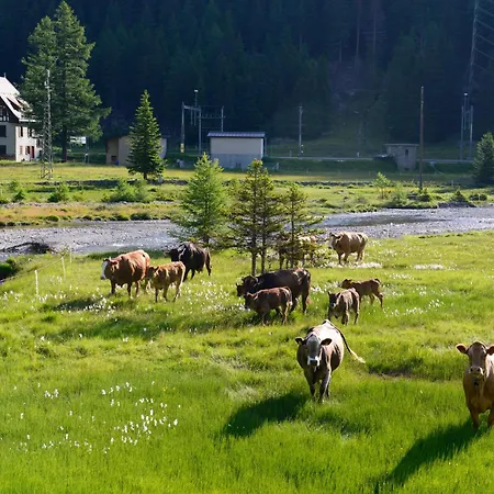 Ristorante Stazione Cavaglia *