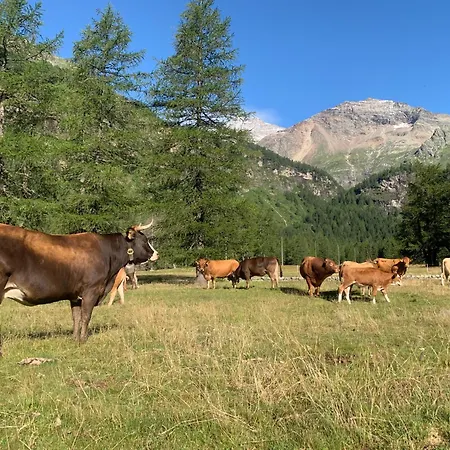 Szálloda Ristorante Stazione Cavaglia Poschiavo