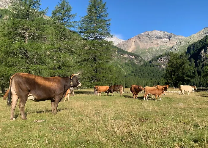 Szálloda Ristorante Stazione Cavaglia Poschiavo
