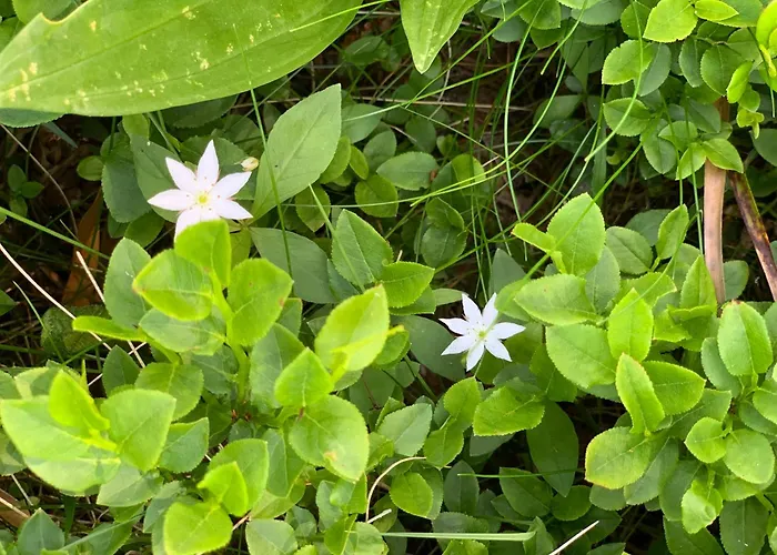 Ristorante Stazione Cavaglia