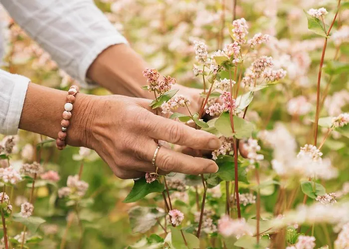 Ristorante Stazione Cavaglia Poschiavo