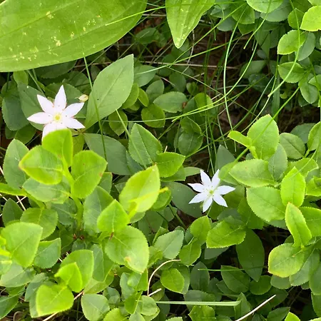 Ristorante Stazione Cavaglia