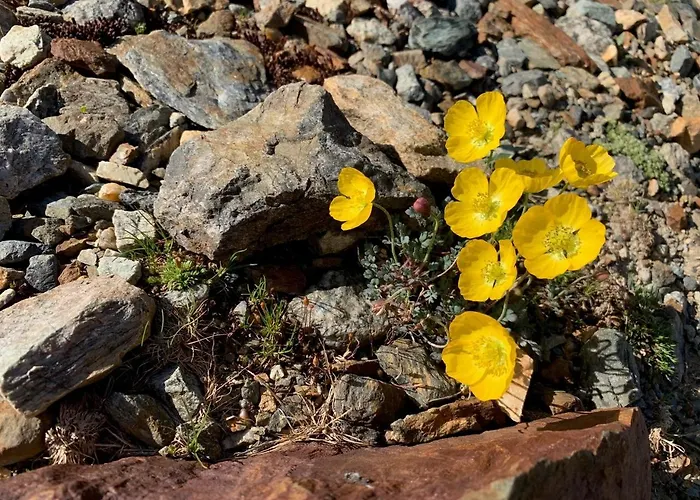 Ristorante Stazione Cavaglia * بوشيافو