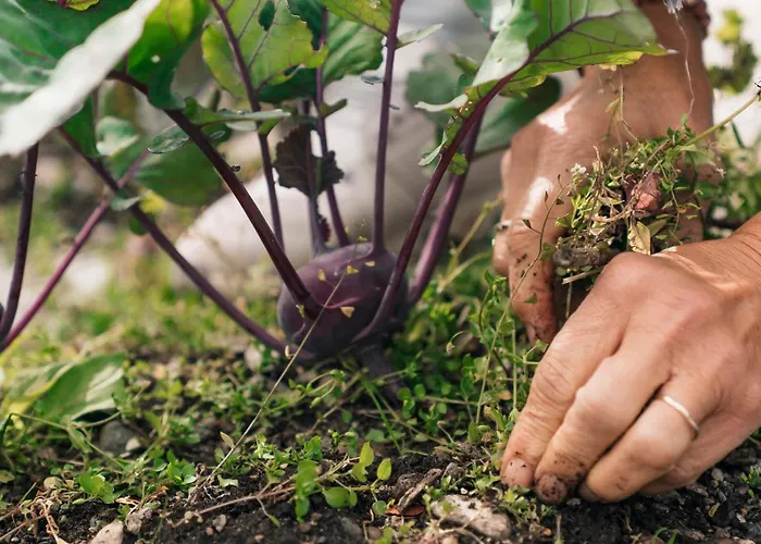 Ristorante Stazione Cavaglia *